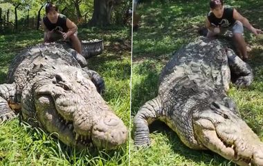 World's Oldest Living Crocodile: ही आहे जगातील सर्वात वयस्कर मगर ज्याचे नाव आहे हेन्री, जो 10 हजार मुलांचा पिता आहे,पहा व्हिडिओ