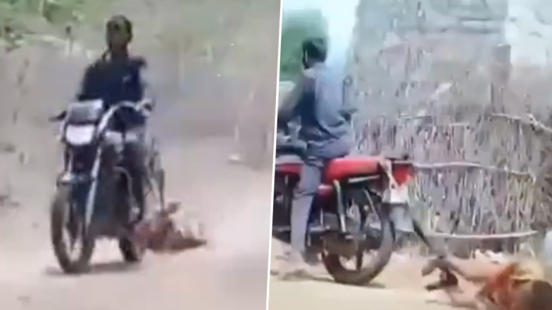 Rajasthan Shocker: दारूच्या नशेत पतीने पत्नीवर अत्याचार करून तिला मोटरसायकलला बांधून घसतट नेले; राजस्थानच्या नागौरमधून व्हायरल होत आहे लाजिरवाणा व्हिडिओ