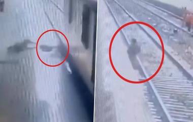 Woman Hit By Railway Video: रुळ ओलांडताना महिलेला रेल्वेची धडक, RPF जवानाच्या चपळतेमुळे वाचले प्रवाशाचे प्राण, थरारक घटनेचा Video व्हायरल