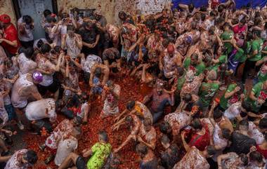 La Tomatina Festival 2024: स्पेनच्या बुनोल शहरात साजरा झाला वार्षिक 'ला टोमॅटिना' फेस्टिव्हल; एकमेकांवर फेकले गेले हजारो टोमॅटो (Watch Videos)