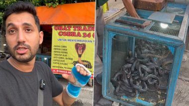 King Cobra Pakoda Video: सोशल मीडियावर चांगलीच व्हायरल झाली किंग कोब्रा पकोडा डिश, व्हिडीओतील गर्दी पाहून होणार चकित