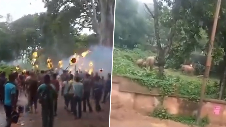 West Bengal Shocker: धारदार भाले आणि फायरबॉलच्या हल्ल्यात हत्तीचा मृत्यू; पश्चिम बंगालमधील झारग्राममधील घटना (Watch Video)