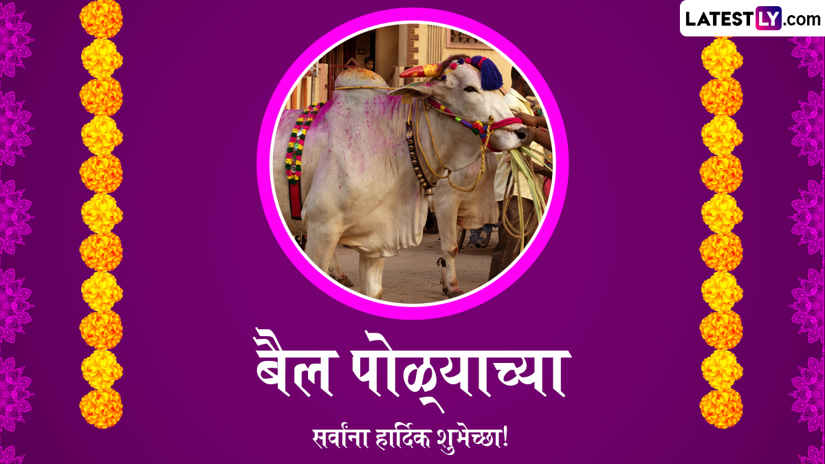 Bail Pola 2026 Holiday: बैलपोळा साजरा होणार उत्साहात; पण शाळा-कॉलेजेसना सुट्टी आहे का?