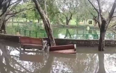 Delhi Rains: दिल्ली रोहिणीत पावसाच्या पाण्याने तयार झालेल्या डबक्यात बुडून 7 वर्षाच्या मुलाचा मृत्यू (Watch Video)