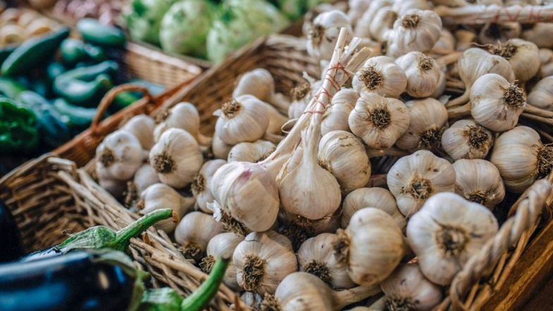 Fake Garlic Scam in Akola: खरा आणि बनावट लसूण कसा ओळखायचा ? जाणून घ्या टीप्स