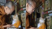 Buddhist Cat Receiving Lessons: मांजरीला धम्माची शिकवण देतानाचा बौद्ध भिक्षूचा क्यूट व्हिडिओ व्हायरल