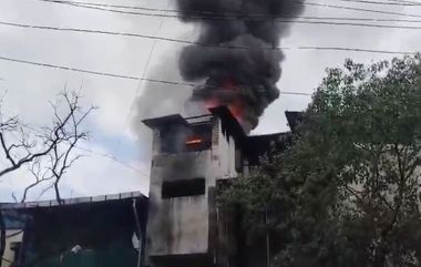 Ulhasnagar Fire: उल्हासनगरमध्ये बिस्किट बनवणाऱ्या डालसन फूड कंपनीला आग; धुराचे मोठमोठे लोट आकाशात (Watch Video)