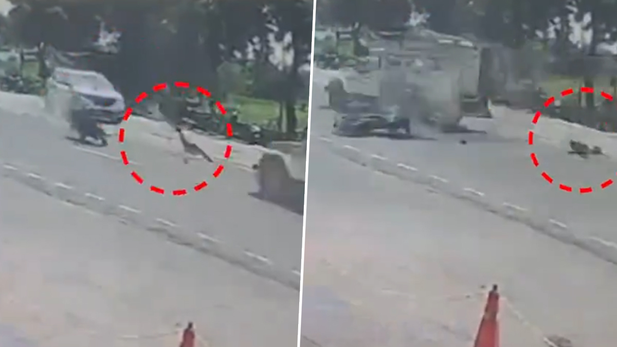 Vadodara Accident Video: गुजरातमधील वडोदरा येथे भीषण रस्ता अपघात, यु-टर्न घेत असताना भरधाव दुचाकीस्वाराची कारला धडक