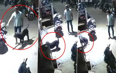 Delhi Dog Attack Video: पाळीव लॅब्रो डॉगच्या हल्ल्यात कुत्र्याच्या पिल्लाचा मृत्यू, नेटकरी मालकावर संतापले (Watch Video)