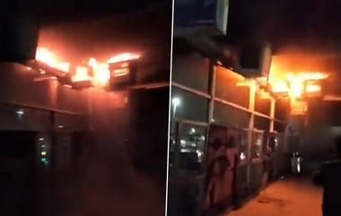 Fire On Overbridge At Prayagraj Station: प्रयागराज स्थानकावरील ओव्हरब्रिजला आग; प्रवाशांमध्ये घबराट, पहा व्हिडिओ