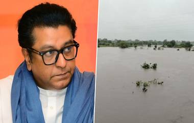 Raj Thackeray on Marathwada Flood: सरकारने शेतकरी पण 'लाडका' आहे हे दाखवून द्यावं; मराठवाड्यातील पूरस्थितीवरुन राज ठाकरेंचे आवाहन