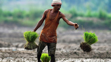 La Nina मुळे उशिरा होणारा पाऊस Kharif Crops ना हानीकार, परंतु Rabi Crops ना फायदेशीर