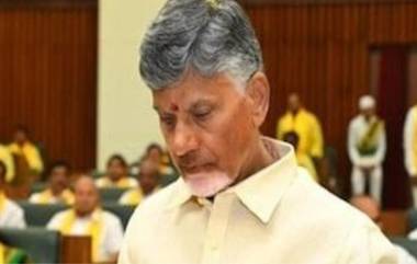 Chandrababu Naidu on Tirupati: 'आंध्र प्रदेशमधील सर्व मंदिरांची साफसफाई होणार'; तिरुपती मंदिर प्रसाद वादावर चंद्राबाबू नायडू यांची प्रतिक्रीया