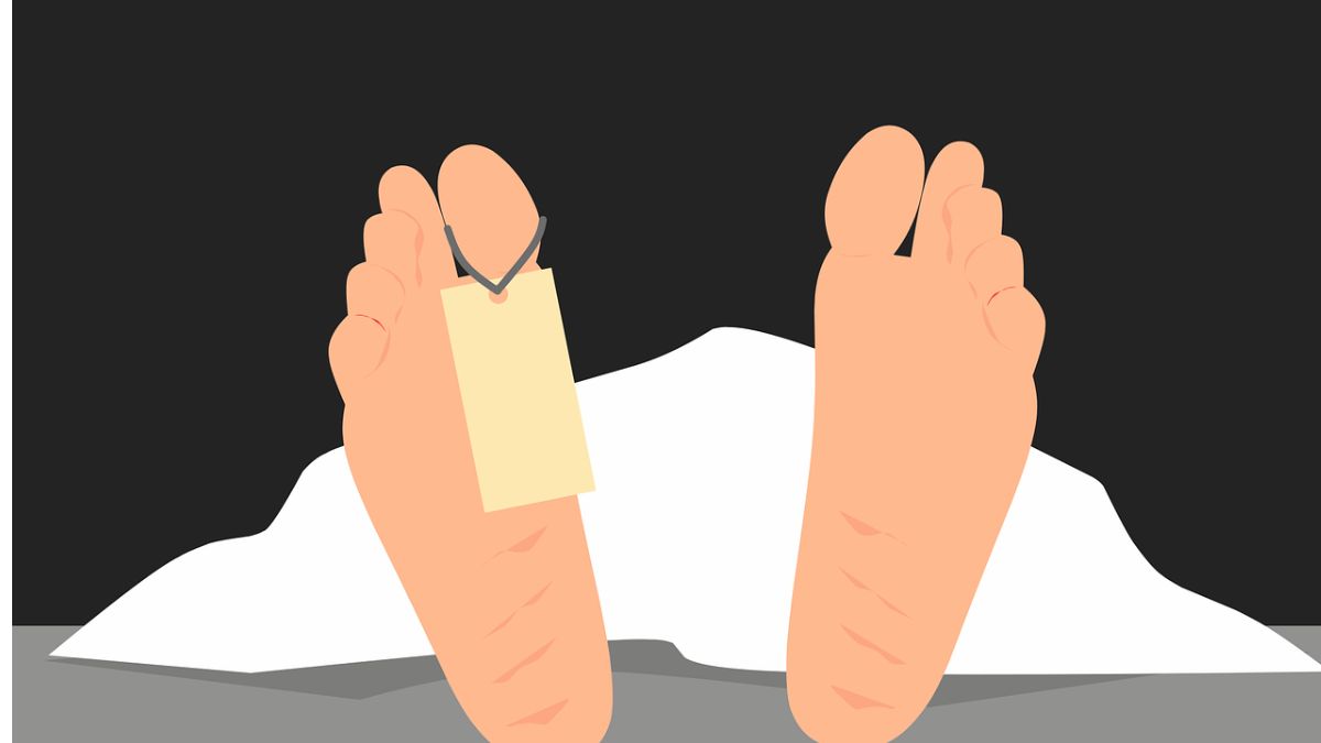 Palghar Shocker: बोरशेटी जंगलात रानडुक्कर समजून  एका व्यक्तीवर हल्ला; 8 जण अटकेत