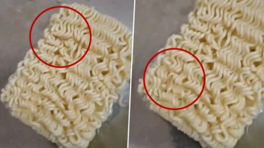 Maggot in Maggi: जबलपूरमध्ये तरुणाला मॅगी नूडल्समध्ये आढळले जिवंत किडे; व्हिडिओ व्हायरल, ग्राहक मंचाकडे तक्रार दाखल (Watch)