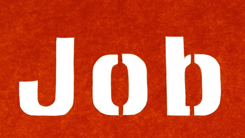 Meesho Seasonal Jobs: सणांच्या हंगामात मीशोचे 8.5 लाग रोजगारनिर्मितीचे लक्ष्य