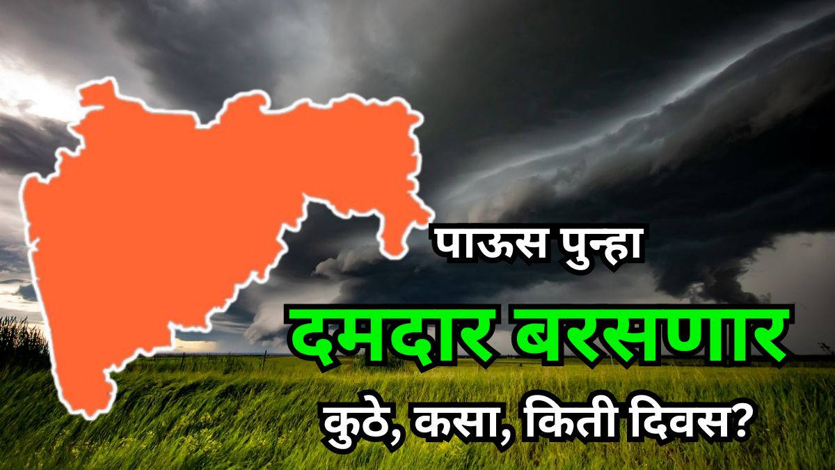 हवामान अंदाज: आभाळात मेघांची दाटी, पाऊस मुसळधार बरसण्याच्या तयारीत; काही जिल्ह्यांना ऑरेंज अलर्ट