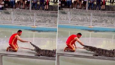 Man Putting Hand In Crocodile's Mouth Video: मगरीच्या तोंडात हात घालणे व्यक्तीला पडले महागात, घटनेचा व्हिडीओ व्हायरल