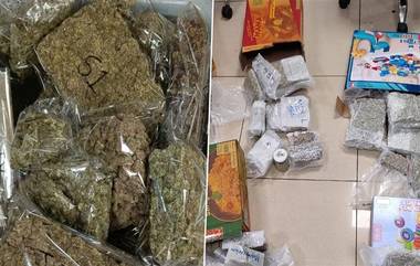 Mumbai Customs Seize Ganja: सीमाशुल्क विभागाची मोठी कारवाई! बँकॉकहून आलेल्या प्रवाशाकडून 8 कोटी रुपयांचा 8.9 किलो गांजा जप्त