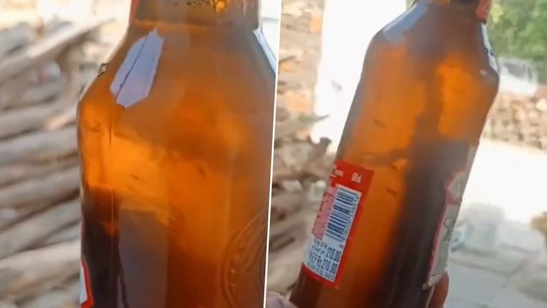 Lizard Found in Budweiser Beer Bottle: तेलंगणातील विकाराबादमध्ये बडवायझर बिअरच्या बाटलीत आढळला सरडा, व्हिडीओ व्हायरल (Watch)