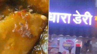 Viral video: गाझियाबादमध्ये श्री धारा डेअरीमधून विकत घेतलेल्या सामोश्यामध्ये आढळले मृत स्पायडर, व्हिडीओ व्हायरल