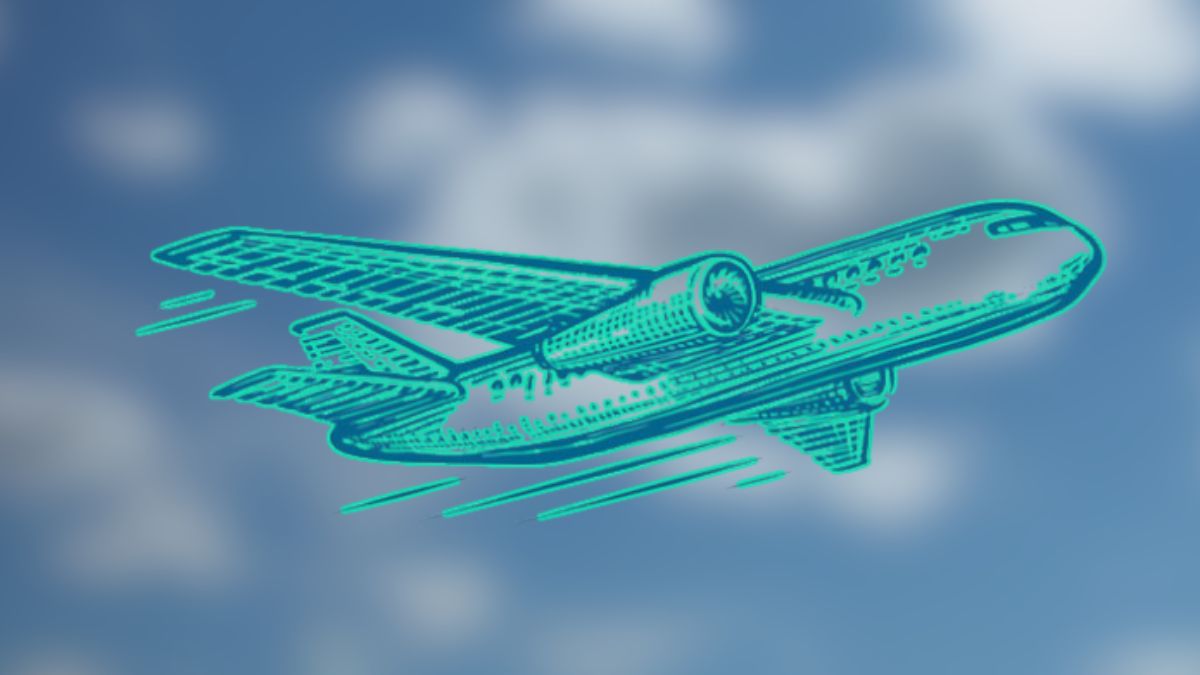 DGCA Advisory: आंतरराष्ट्रीय हवाई मार्ग बंदीनंतर प्रवाशांच्या सोयीसाठी विमान कंपन्यांना सूचना