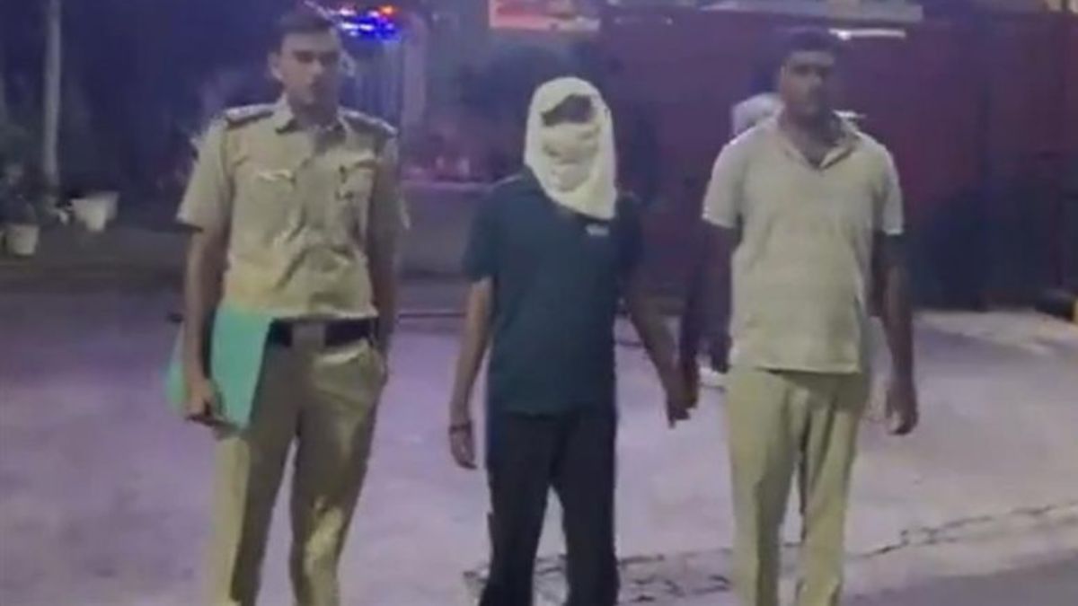 Bomb Threat to Flights: ईमेलवर धमकीचे संदेश पोस्ट केल्याबद्दल दिल्लीतील एकाला अटक, 'लक्ष वेधण्यासाठी' कृत्य केल्याचा खुलासा (Watch Video)