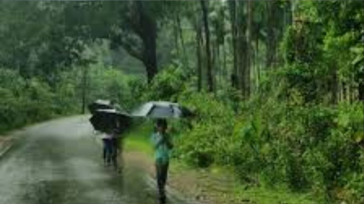 Maharashtra Weather Update: मुंबई, पुणे, नाशिकसह 'या' जिल्ह्यात 8 मे पर्यंत सोसाट्याच्या वाऱ्यासह पावसाचा अंदाज
