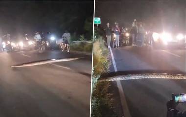 Python Stops Traffic on Dehradun Road: डेहराडूनमध्ये रोडवर दिसला महाकाय अजगर; वाहतूक विस्कळीत, पहा व्हिडिओ