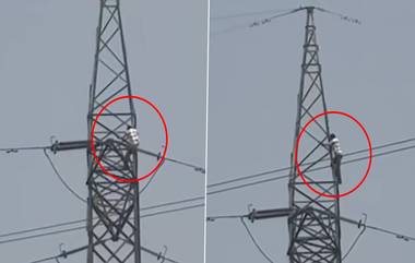 Man Climbs High-Tension Electric Tower: नोएडातील व्यक्तीने हाय टेंशन इलेक्ट्रिक टावरवर चढून केला डान्स; तब्बल 2 तास सुरू होता हायव्होल्टेज ड्रामा (Watch Video)