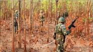 Encounter In Chhattisgarh Sukma District: छत्तीसगडमधील सुकमा जिल्ह्यात सुरक्षा जवानांची मोठी कारवाई! चकमकीत 10 नक्षलवादी ठार