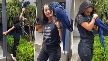 Blue Parrot Viral Video: निळ्या पोपटावर प्रेमाचा वर्षाव पक्ष्याचे सौंदर्य पाहून तुम्ही व्हाल थक्क, व्हिडीओ व्हायरल