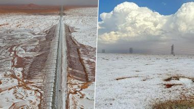 Saudi Arabian Desert Sees Snowfall: सौदी अरेबियाच्या इतिहासात पहिल्यांदाच मुसळधार बर्फवृष्टी; हजारो वर्षांपासून उष्ण असलेल्या वाळूवर पसरली बर्फाची पांढरी चादर (Video)