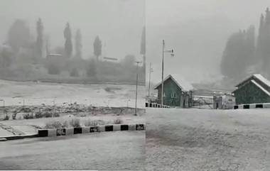 First Snowfall of Winter Season: पृथ्वीवरील स्वर्ग! काश्मीरमध्ये हंगामातील पहिला हिमवर्षाव; स्कीइंग, स्लेजिंगसाठी पर्यटक आतूर (Watch Video)