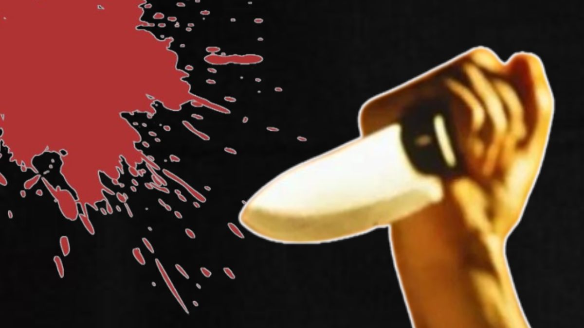 US Man Stabs Girlfriend: हेअरकट आवडला नाही म्हणून गर्लफ्रेंडची चाकूने भोसकून हत्या; बॉयफ्रेंडचा प्रताप