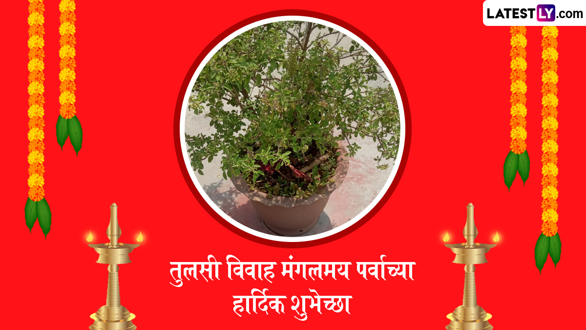 Tulsi Vivah Mangalashtak Lyrics: तुळशीचं लग्न लावताना अचूक मंगलाष्टकं गाण्यासाठी इथे पहा त्याचे शब्द