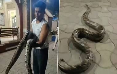 Python Rescued From Mahim Police Station Premisses: मुंबईतील माहीम पोलीस ठाण्याच्या आवारातून मोठ्या अजगराची सुटका (Watch Video)