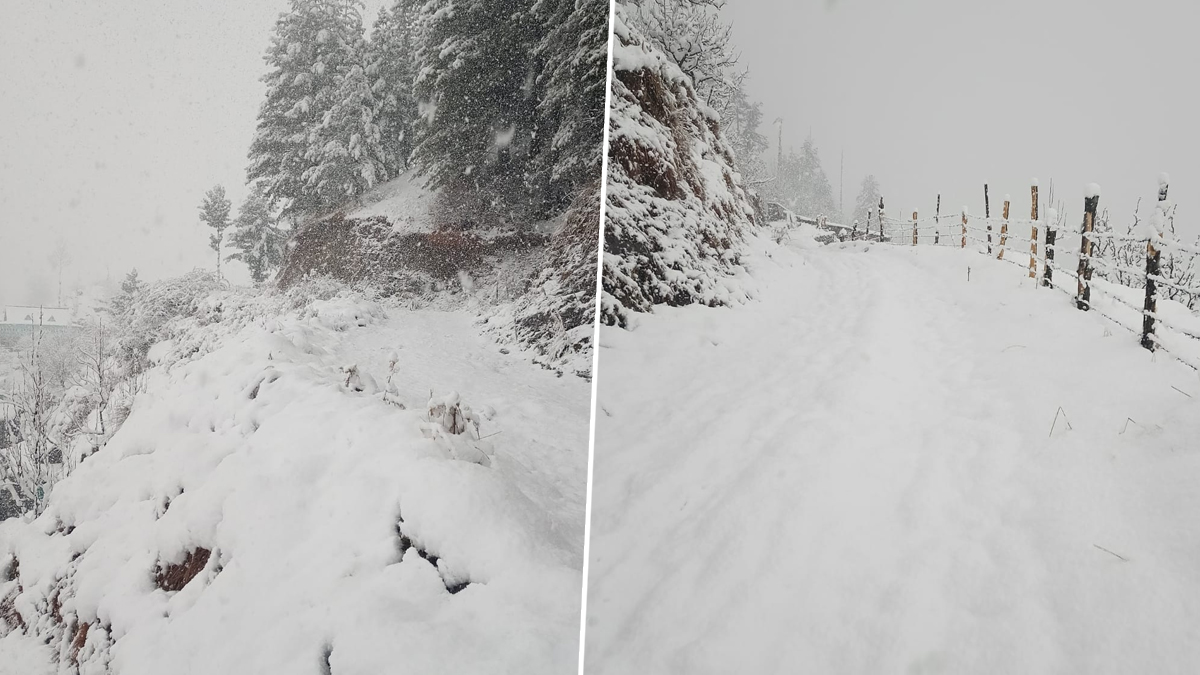 Snowfall in Himachal: हिमाचलमध्ये बर्फवृष्टी! 174 रस्ते बंद; 1 हजारहून अधिक वाहने अडकली, 700 पर्यटकांची सुटका
