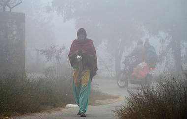 पंजाब आणि हरियाणामध्ये थंडीची लाट कायम, फरीदकोटमध्ये किमान तापमान एक अंश सेल्सिअसवर