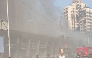 Mumbai Fire: ताडदेव परिसरामध्ये Hira Panna Mall मध्ये आग (Watch Video)