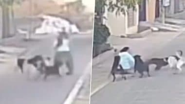 Pack of Dogs Attacked Elderly Woman: जालंधरमधील वडाळा चौकाजवळ गुरुद्वारात जाणाऱ्या वृद्ध महिलेवर भटक्या कुत्र्यांनी केला हल्ला, व्हिडीओ व्हायरल