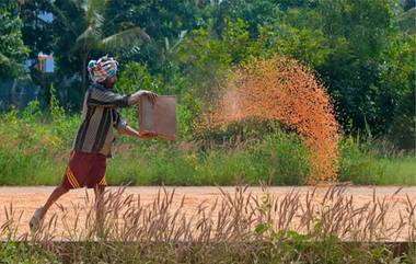 PM Kisan Yojana: पती-पत्नी दोघेही पीएम किसान योजनेचा लाभ घेऊ शकतात का? जाणून घ्या, काय म्हणतात नियम