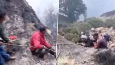 Uttarakhand: रुद्रप्रयागच्या चोपटा येथे ट्रेकिंगसाठी गेलेले 3 पर्यटक जंगलाच्या आगीत अडकले; अथक परिश्रमानंतर बचाव पथकाची सुटका (पाहा व्हिडिओ)