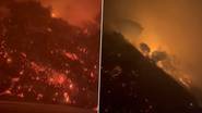 Los Angeles Wildfire: लॉस एंजेलिसच्या जंगलात भीषण आग; अनेक घरे जाळून खाक, 30 हजार लोकांना बाहेर काढण्याची तयारी