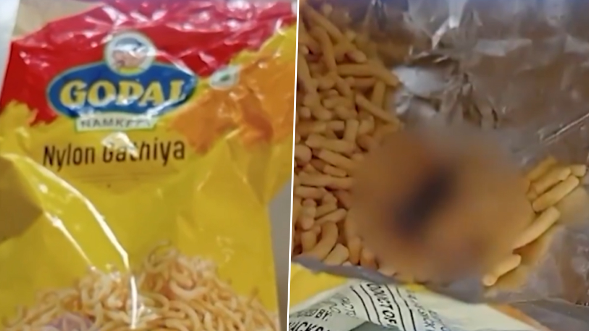 Dead Rat Found in Namkeen Packet: गुजरातमध्ये नमकीनच्या पॅकेटमध्ये आढळला मृत उंदीर; अतिसारामुळे एक वर्षाची मुलगी रुग्णालयात दाखल