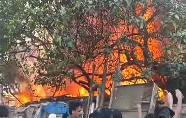 Fire In Bandra: मुंबईतील वांद्रे परिसरात लागलेल्या आगीत 15-20 झोपड्या उद्ध्वस्त, कोणतीही जीवितहानी नाही, पहा व्हिडिओ