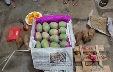 First Batch Of Kesar Mangoes: रत्नागिरीहून आलेल्या केसर आंब्याची पहिली पेटी मुंबईमधील APMC मार्केटमध्ये दाखल; व्यापाऱ्यांनी केली पूजा (Watch Video)