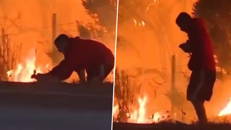 Los Angeles Fire: लॉस एंजेलिसमध्ये आगीचा कहर; आतापर्यंत 26 जणांचा मृत्यू, अनेकजण बेपत्ता