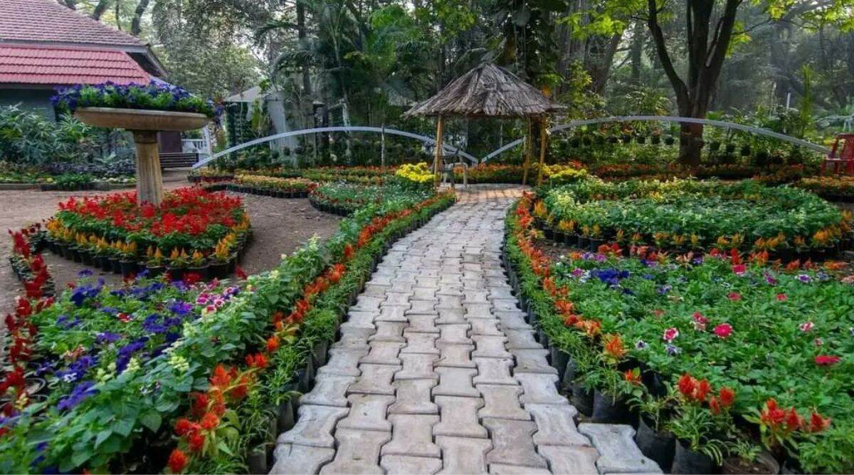 Pune Empress Garden Flower Show 2025: पुण्यात 24 ते 27 जानेवारी दरम्यान एम्प्रेस गार्डन फ्लॉवर शोचे आयोजन; देशभरातील नर्सरी मालक होणार सहभागी