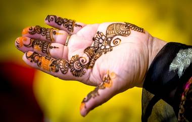 Wedding Fraud: नववधूला लघुशंका, संसारावर पाणी; लग्नमंडपात विधी सुरु असताना नवरी पळाली भूर्रर्र, नवरा लटकला, वाचा सविस्तर